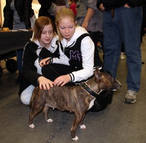 Ester, Tinybull's Gummibullens Kizzy Gulliver