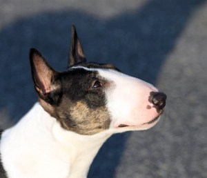 Birgit Profile 2 23 months_web