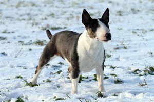 Birgit side 23 months_2