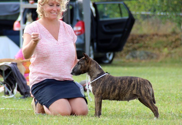 Gummibullens Kizzy Gulliver