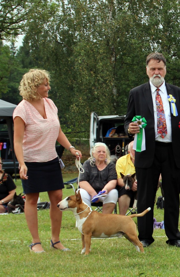 Tinybull's Alphaville BOS