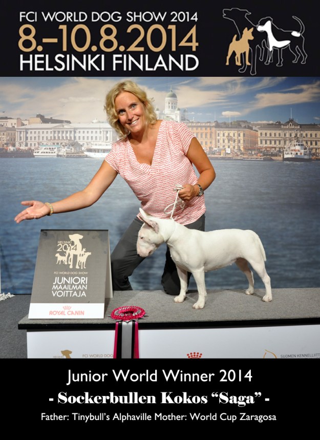 Junior World Winner Sockerbullen Kokos "Saga"