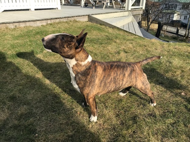 majken-10-mc3a5n_web