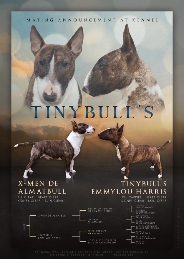 Mating announcement Majken